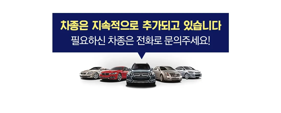 몬스터렌터카 렌트카 보험대차 렌터카